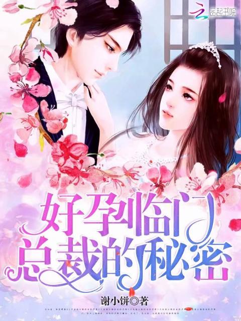 好孕临门：总裁的秘密