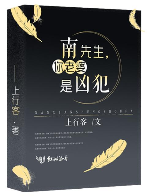 南先生，你老婆是凶犯