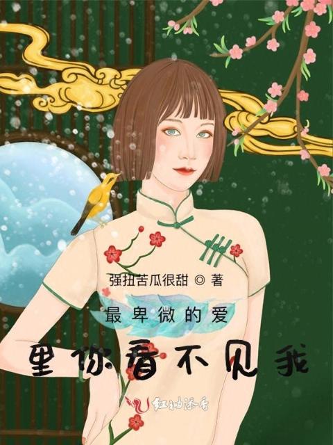 最卑微的爱里你看不见我