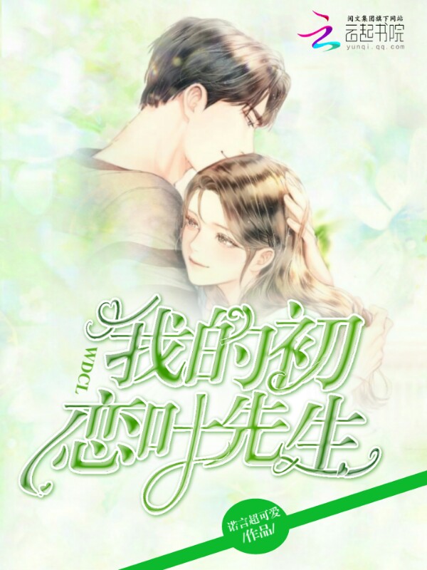 我的初恋叶先生