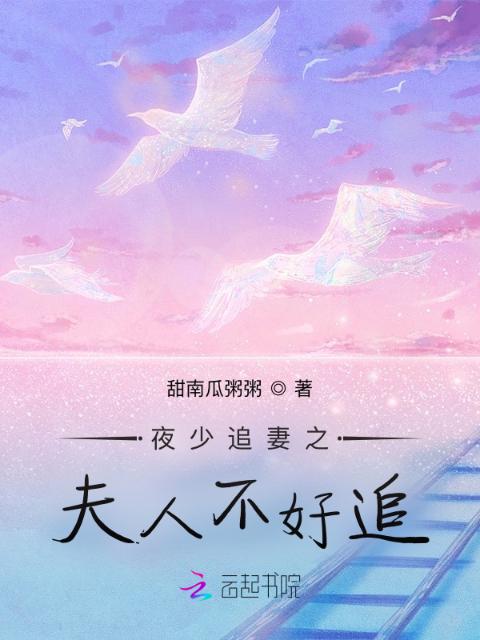 夜少追妻之夫人不好追