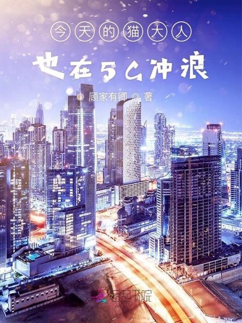 今天的猫大人也在5G冲浪