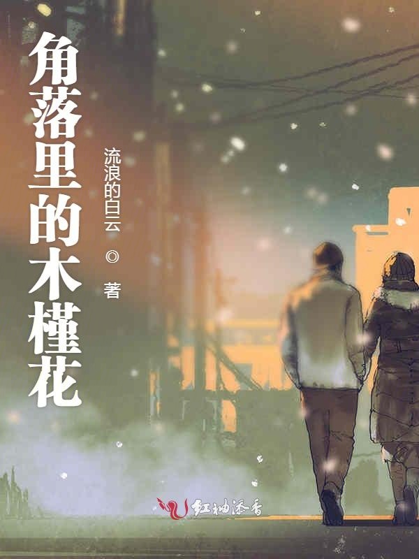 角落里的木槿花