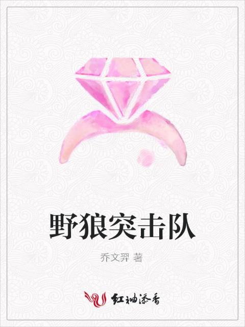 野狼突击队