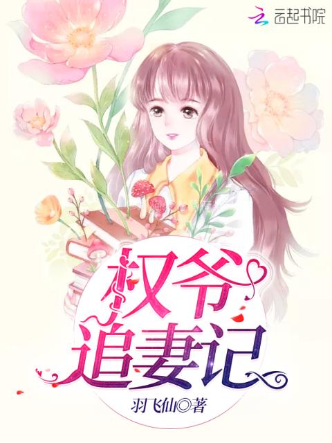 权爷追妻记