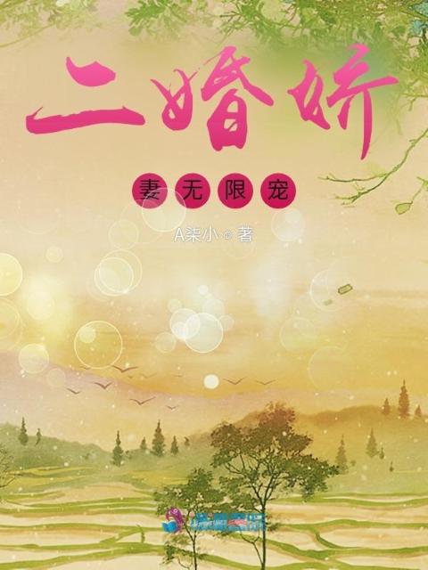 二婚娇妻无限宠