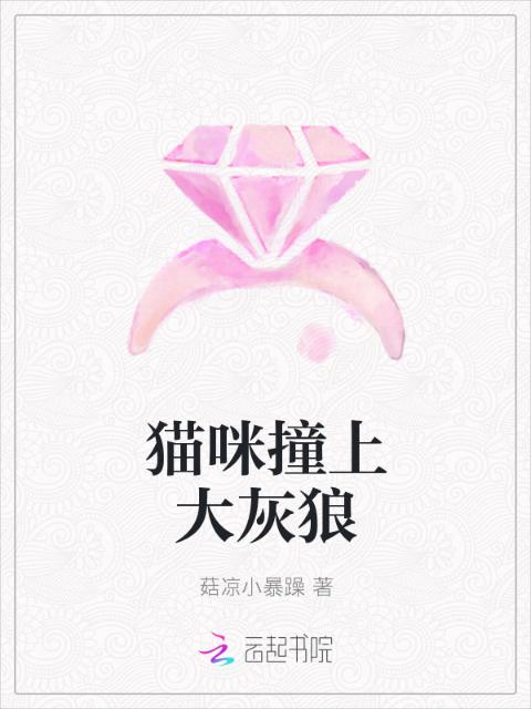 猫咪撞上大灰狼