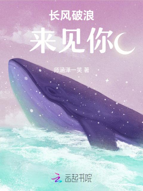 长风破浪来见你