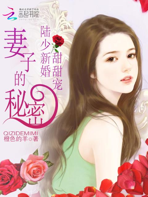 陆少新婚甜甜宠：妻子的秘密