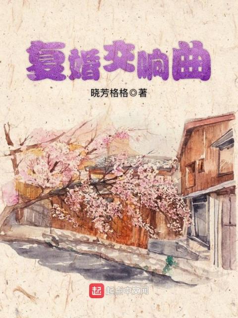 妻子的秘密小说免费
