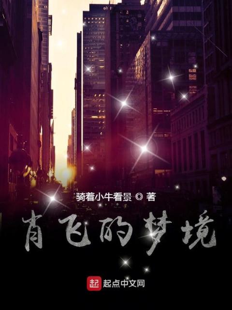 肖飞的梦境