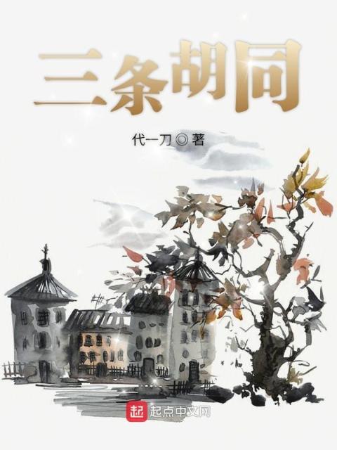 三条胡同