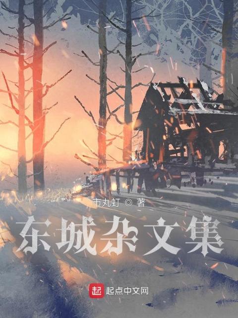 东城杂文集