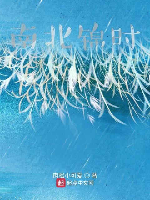 南北锦时