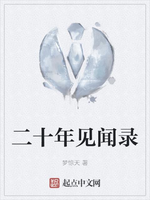 二十年见闻录