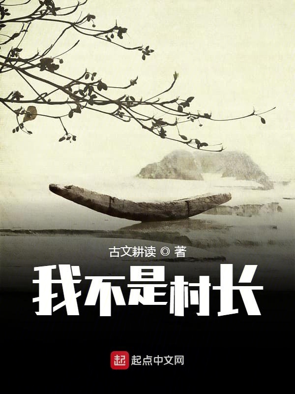 我不是村长
