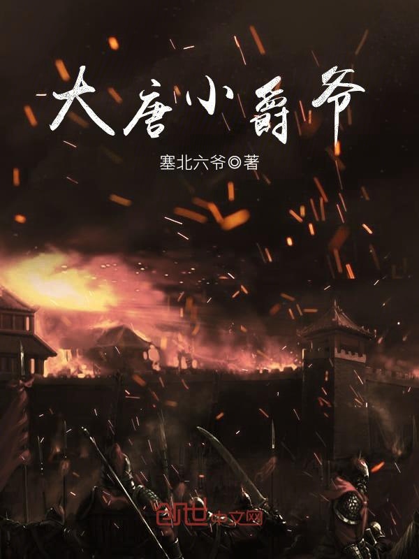 大唐小爵爷