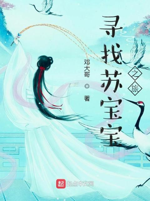 寻找苏宝宝之旅