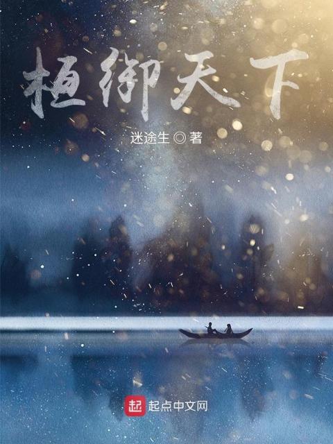 桓御天下