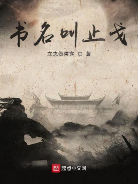 书名叫止戈