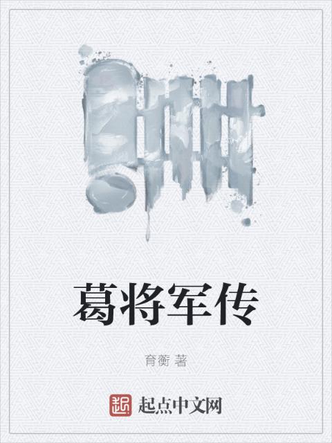 葛将军传