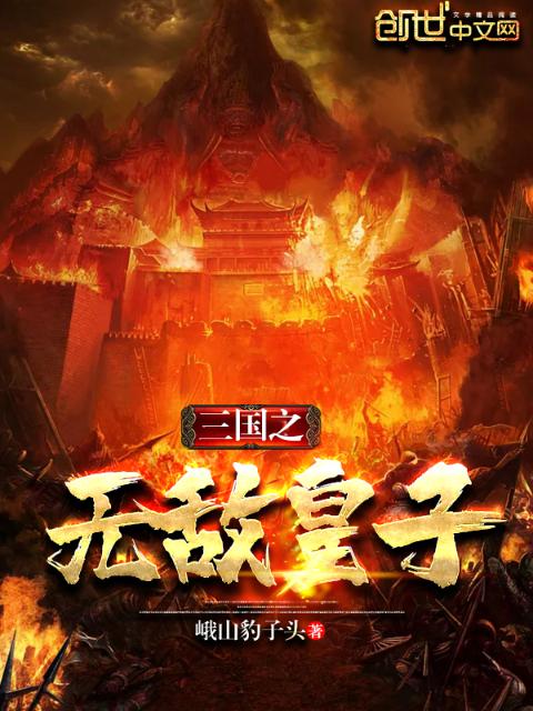 三国之无敌皇子