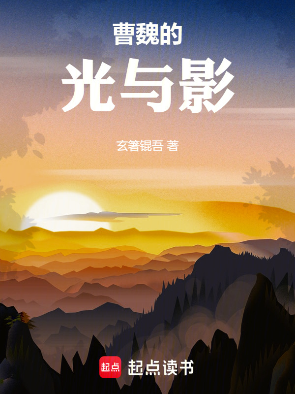 曹魏的光与影