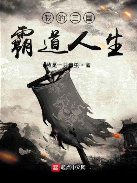 我的三国霸道人生