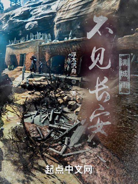 不见长安满城雨