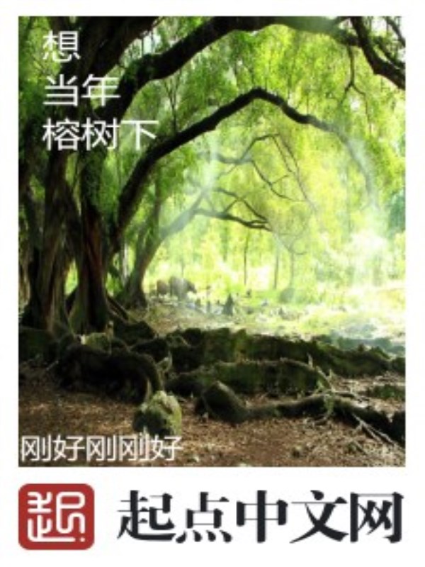 想当年，榕树下